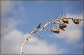 IMG_6289-border