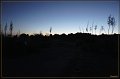 DSC00554-border