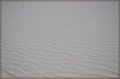 IMG_6352-border