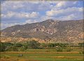 IMG_6555-border