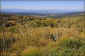 IMG_6646-border
