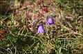 IMG_6647-border
