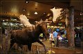 DSC00257-border