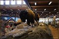 DSC00258-border