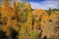 IMG_6811-border