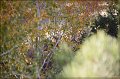 _MG_6814-border