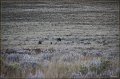 IMG_6838-border