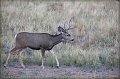IMG_6840-border