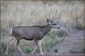 IMG_6841-border