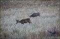 IMG_6847-border
