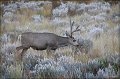 IMG_6848-border