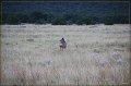 IMG_6850-border