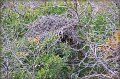 IMG_6948-border
