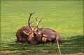 IMG_7019-border