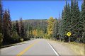 IMG_5542-border