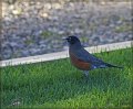 IMG_5754-border