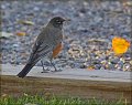 IMG_5756-border