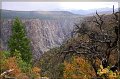 IMG_5764-border