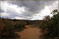IMG_5779-border