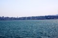 IMG_8950