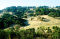 DSC01163
