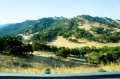 DSC01164