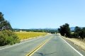 DSC01180