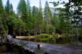 DSC01201