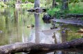 DSC01204