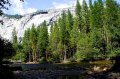DSC01220