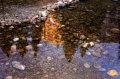 DSC01234
