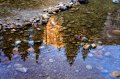 DSC01235