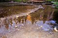 DSC01236