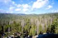 DSC01346