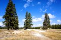 DSC01359