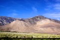 IMG_9009