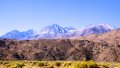 IMG_9010