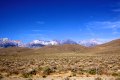 IMG_9013