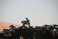 IMG_9062
