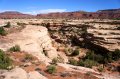 DSC01893