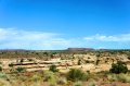 DSC01896