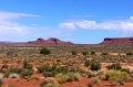 DSC01900