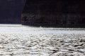 IMG_9429