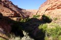 DSC01974