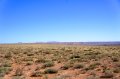 DSC01981
