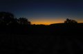 DSC01994