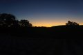 DSC01995