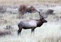 IMG_9608