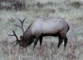 IMG_9622