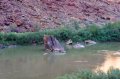 DSC02030